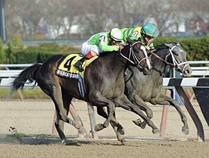 Disposablepleasure wins the 2011 Demoiselle. Disposablepleasure wins the 2011 Demoiselle.