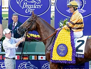 Wise Dan wins the 2012 Breeders' Cup Mile. Wise Dan wins the 2012 Breeders' Cup Mile.