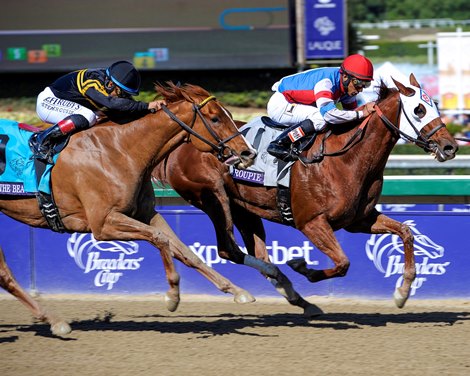 Groupie Doll with Rajiv Maragh overpower Judy the Beauty to win the 2013 Grade I Breeders' Cup Filly and Mare Sprint at Santa Anita Park. Groupie Doll with Rajiv Maragh overpower Judy the Beauty to win the 2013 Grade I Breeders' Cup Filly and Mare Sprint at Santa Anita Park.