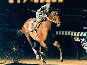 1988 Breeders' Cup Classic winner and Horse of the Year Alysheba will reside at the Kentucky Horse Park. 1988 Breeders' Cup Classic winner and Horse of the Year Alysheba will reside at the Kentucky Horse Park.