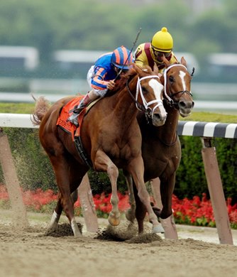 Better Than Honour achieved a rare back-to-back Belmont Stakes (gr. I) double when her daughter Rags to Riches won in 2007. Better Than Honour achieved a rare back-to-back Belmont Stakes (gr. I) double when her daughter Rags to Riches won in 2007.