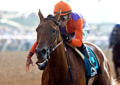 Spendthrift Farms' Beholder, a 5-year-old mare,  and jockey Gary Stevens dusted the boys to easily win the Grade I $1,000,000 TVG Pacific Classic Saturday, August 22, 2015 at Del Mar Thoroughbred Club, Del Mar, CA. Spendthrift Farms' Beholder, a 5-year-old mare,  and jockey Gary Stevens dusted the boys to easily win the Grade I $1,000,000 TVG Pacific Classic Saturday, August 22, 2015 at Del Mar Thoroughbred Club, Del Mar, CA.