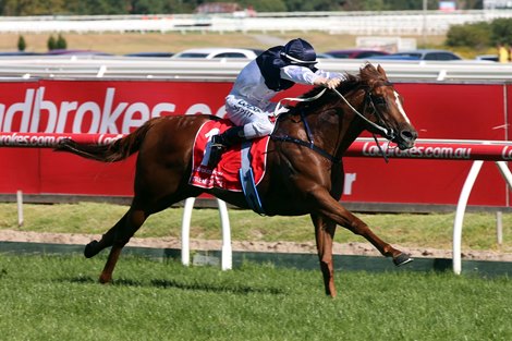 Extreme Choice takes the Blue Diamond Stakes (gr. I) at Caulfield Racecourse in Melbourne Australia. Extreme Choice takes the Blue Diamond Stakes (gr. I) at Caulfield Racecourse in Melbourne Australia.
