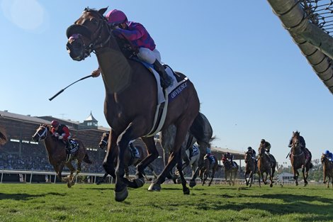 Obviously, with Flavien Prat up, wins the Turf Sprint (gr. I) at Santa Anita on Nov. 5, 2016, in Arcadia, California. Obviously, with Flavien Prat up, wins the Turf Sprint (gr. I) at Santa Anita on Nov. 5, 2016, in Arcadia, California.