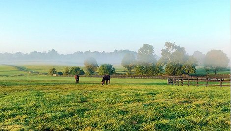 Stone Bridge Farm, bought by Jeff and Melissa Prunzik in September 2017, was former owned by Robert Courtney Jr. Stone Bridge Farm, bought by Jeff and Melissa Prunzik in September 2017, was former owned by Robert Courtney Jr.