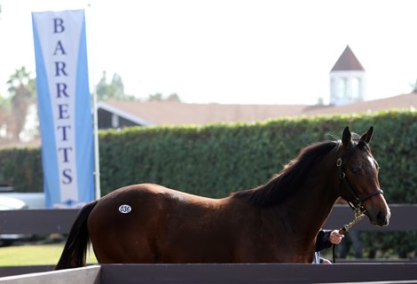 2018 Barretts January Mixed Sale Scene 2018 Barretts January Mixed Sale Scene