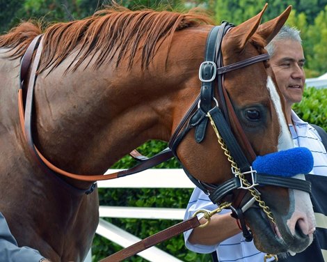 Justify Justify