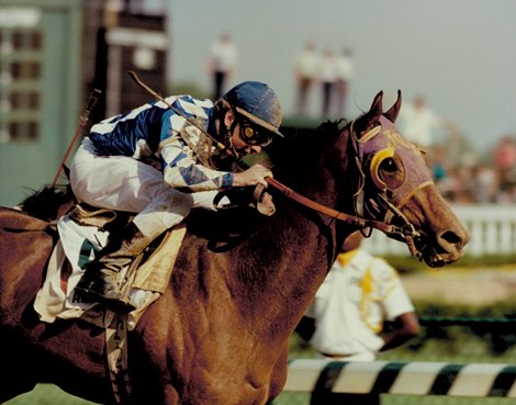 Alysheba-1987 Kentucky Derby Alysheba-1987 Kentucky Derby