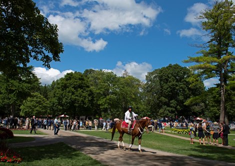 2019 Travers Day 2019 Travers Day