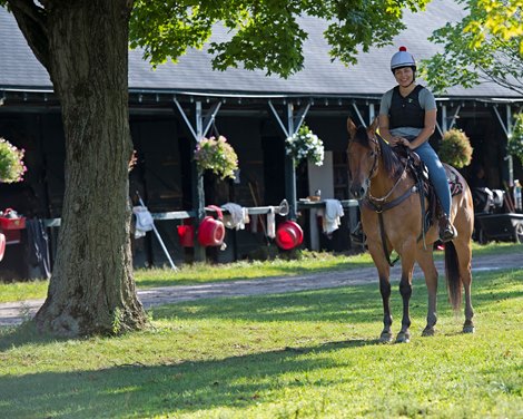 Sam Bussanich on pony at Mark Casse barn. Saratoga mornings and NY Bred race day on Aug. 23, 2019 at Saratoga Race Course in Saratoga Springs, N.Y. Sam Bussanich on pony at Mark Casse barn. Saratoga mornings and NY Bred race day on Aug. 23, 2019 at Saratoga Race Course in Saratoga Springs, N.Y.