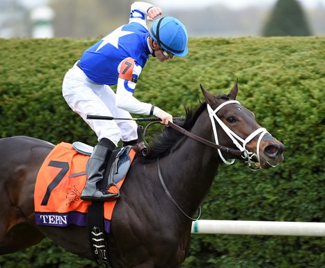 Tepin wins the 2015 Breeders' Cup Mile. Tepin wins the 2015 Breeders' Cup Mile.