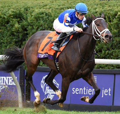 Tepin wins the 2015 Breeders' Cup Mile Tepin wins the 2015 Breeders' Cup Mile