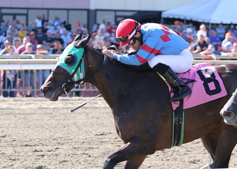 Trace of Grace #8 with Inoel Beato riding won the $100,000 Plum Pretty at Parx Racing in Bensalem, PA. Photo By Bill Denver/EQUI-PHOTO Trace of Grace #8 with Inoel Beato riding won the $100,000 Plum Pretty at Parx Racing in Bensalem, PA. Photo By Bill Denver/EQUI-PHOTO