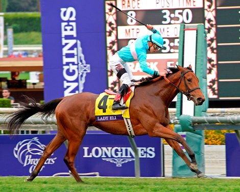 Lady Eli wins the 2014 Breeders' Cup Juvenile Fillies Turf Lady Eli wins the 2014 Breeders' Cup Juvenile Fillies Turf