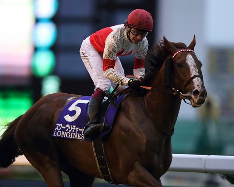 Suave Richard wins the 2019 Japan Cup Suave Richard wins the 2019 Japan Cup