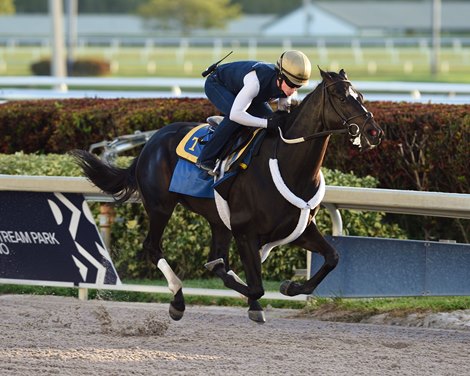 Independence Hall - Morning - Gulfstream Park - 032220 Independence Hall - Morning - Gulfstream Park - 032220
