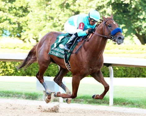 Charlatan wins 2020 Arkansas Derby at Oaklawn Park Charlatan wins 2020 Arkansas Derby at Oaklawn Park