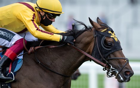 Campanelle (Frankie Dettori) wins the Queen Mary Stakes<br><br />
Ascot 20.6.20 Campanelle (Frankie Dettori) wins the Queen Mary Stakes<br><br />
Ascot 20.6.20