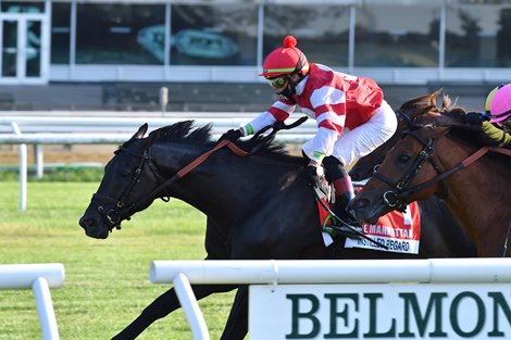 Instilled Regard wins the Manhattan Stakes Saturday, July 4, 2020 at Belmont Park Instilled Regard wins the Manhattan Stakes Saturday, July 4, 2020 at Belmont Park