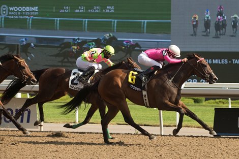 Jockey Emma-Jayne Wilson guides Two Sixty to victory in the $125,000 dollar Selene Stakes at Woodbine.Two Sixty is owned by Gary Barber and trained by Mark Casse. Michael burns photo Jockey Emma-Jayne Wilson guides Two Sixty to victory in the $125,000 dollar Selene Stakes at Woodbine.Two Sixty is owned by Gary Barber and trained by Mark Casse. Michael burns photo