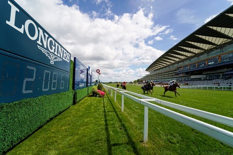 ASCOT, ENGLAND - JULY 26: A general view as runners cross the line in The Betfred Mobile Handicap at Ascot Racecourse on July 26, 2020 in Ascot, England. Owners are allowed to attend if they have a runner at the meeting otherwise racing remains behind closed doors to the public due to the Coronavirus pandemic. (Photo by Alan Crowhurst/Getty Images) ASCOT, ENGLAND - JULY 26: A general view as runners cross the line in The Betfred Mobile Handicap at Ascot Racecourse on July 26, 2020 in Ascot, England. Owners are allowed to attend if they have a runner at the meeting otherwise racing remains behind closed doors to the public due to the Coronavirus pandemic. (Photo by Alan Crowhurst/Getty Images)