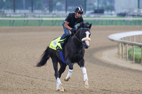 Honor A. P. - Morning - Churchill Downs - 090120 Honor A. P. - Morning - Churchill Downs - 090120