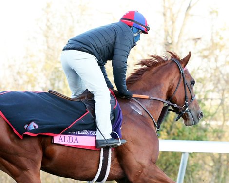 Alda - Morning - Keeneland - 110320 Alda - Morning - Keeneland - 110320