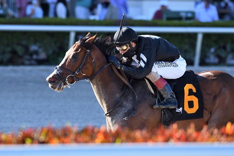 Pacific Gale wins 2021 Inside Information Stakes at Gulfstream Park Pacific Gale wins 2021 Inside Information Stakes at Gulfstream Park