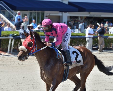 Eye of a Jedi wins the 2021 Ghostzapper at Gulfstream Park Eye of a Jedi wins the 2021 Ghostzapper at Gulfstream Park