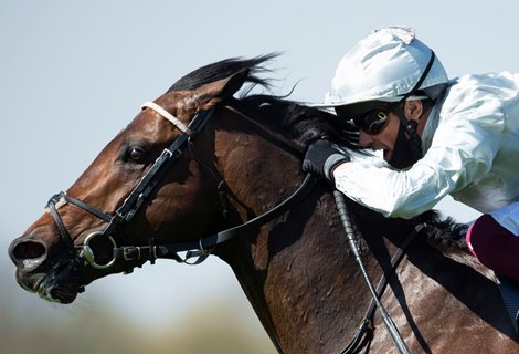 Palace Pier (Frankie Dettori) win the Bet365 Mile<br><br />
Sandown 23.4.21 Palace Pier (Frankie Dettori) win the Bet365 Mile<br><br />
Sandown 23.4.21