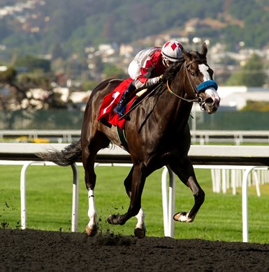 I'm So Anna wins the 2021 Campanile Stakes I'm So Anna wins the 2021 Campanile Stakes