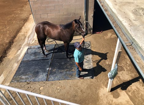 Scenics, 2021 Fasig-Tipton 2 y o in Training Sale  at Santa Anita Scenics, 2021 Fasig-Tipton 2 y o in Training Sale  at Santa Anita