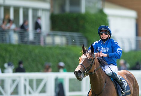 Kemari and William Buick win the Queen's Vase<br><br />
Ascot 16.6.21 Kemari and William Buick win the Queen's Vase<br><br />
Ascot 16.6.21
