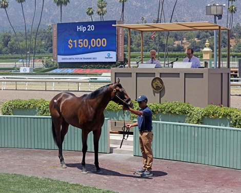 Hip 20, Fasig-Tipton 2021 June 2 Y O Sale Santa Anita Hip 20, Fasig-Tipton 2021 June 2 Y O Sale Santa Anita