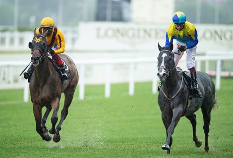 Campanelle (Frankie Dettori,left) wins the Commonwealth Cup in the stewards room<br><br />
Ascot 18.6.21 Pic: Edward Whitaker/Racing Post Campanelle (Frankie Dettori,left) wins the Commonwealth Cup in the stewards room<br><br />
Ascot 18.6.21 Pic: Edward Whitaker/Racing Post