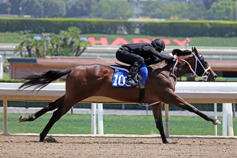 Hip 109 breezes the 1/8 in 10.2, 2021 Fasig-Tipton 2 y o in training sale Santa Anita,  Hip 109 breezes the 1/8 in 10.2, 2021 Fasig-Tipton 2 y o in training sale Santa Anita,