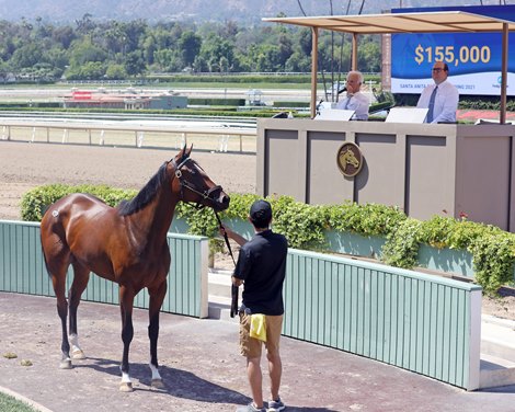 Hip 65, Fasig-Tipton 2021 June 2 Y O Sale Santa Anita Hip 65, Fasig-Tipton 2021 June 2 Y O Sale Santa Anita