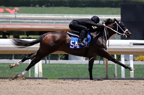 Hip 54 breezes the 1/4 in 22., 2021 Fasig-Tipton 2 y o in training sale Santa Anita,  Hip 54 breezes the 1/4 in 22., 2021 Fasig-Tipton 2 y o in training sale Santa Anita,