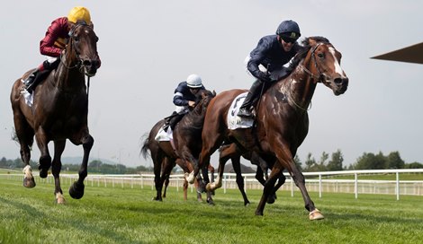 Armory (Seamie Heffernan,right) gets out of the pocket to win the Group 3 Royal Whip Stakes from Numerian<br><br />
The Curragh Racecourse.<br><br />
14.08.2020<br><br />
 Armory (Seamie Heffernan,right) gets out of the pocket to win the Group 3 Royal Whip Stakes from Numerian<br><br />
The Curragh Racecourse.<br><br />
14.08.2020<br><br />