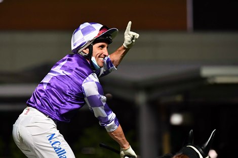 Neil Callan Neil Callan