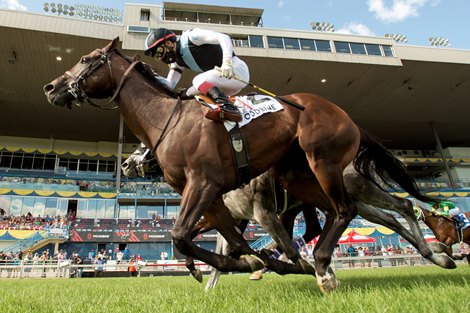 Jockey Kazushi Kimura guides Gretzky the Great to victory (#2 black cap inside) to victory over the #5 Country Final (middle) and all #4 Artie's Storm in the $125,000 dollar Greenwood Stakes.Gretzky the Great is trained by Mark Casse. Woodbine/ Michael Burns Photo