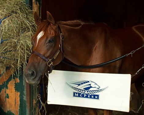 Swiss Skydiver<br><br />
Saratoga racing scenes in Saratoga Springs, N.Y. on Aug. 5, 2021. Swiss Skydiver<br><br />
Saratoga racing scenes in Saratoga Springs, N.Y. on Aug. 5, 2021.