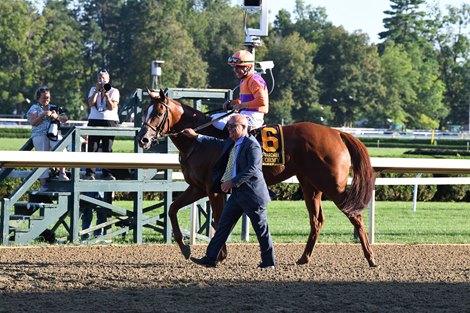 Got Stormy wins the 2021 Fourstardave Handicap at Saratoga Got Stormy wins the 2021 Fourstardave Handicap at Saratoga