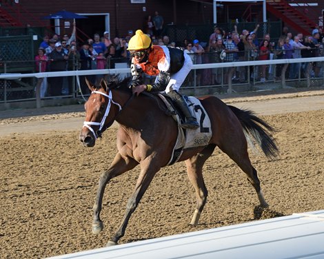 Miss Interpret wins the 2021 P. G. Johnson Stakes at Saratoga Miss Interpret wins the 2021 P. G. Johnson Stakes at Saratoga