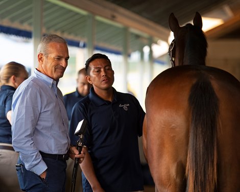 Dr. Jeffrey Berk, holding endoscope, looks over a yearling. Keeneland September yearling sales on Sept. 10, 2021. Dr. Jeffrey Berk, holding endoscope, looks over a yearling. Keeneland September yearling sales on Sept. 10, 2021.