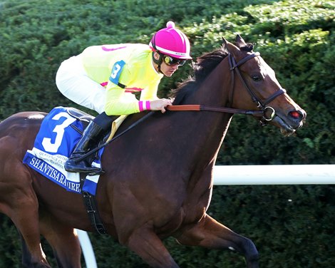 Shantisara wins the 2021 Queen Elizabeth II Challenge Cup Stakes at Keeneland Shantisara wins the 2021 Queen Elizabeth II Challenge Cup Stakes at Keeneland