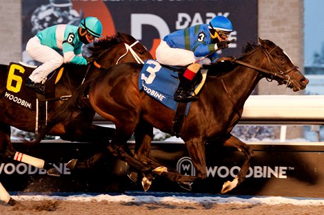 Jockey Rafael Hernandez guides Mrs. Barbara to the finish line in the $150,000 Guaranteed Mazarine Stakes for owner Spruce Stable and trainer Mark E. Casse Jockey Rafael Hernandez guides Mrs. Barbara to the finish line in the $150,000 Guaranteed Mazarine Stakes for owner Spruce Stable and trainer Mark E. Casse