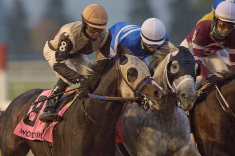 Jockey Patrick Husbands guides Mighty Heart to victory in the $175,000 Autumn Stakes at Woodbine. Mighty Heart covered the 1Mi.1/16 in 1.42.2 for owner Lawrence Cordes and trainer Josie Carroll Jockey Patrick Husbands guides Mighty Heart to victory in the $175,000 Autumn Stakes at Woodbine. Mighty Heart covered the 1Mi.1/16 in 1.42.2 for owner Lawrence Cordes and trainer Josie Carroll