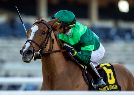 Regal Glory and jockey Jose Ortiz win the Grade I, $400,000 Matriarch Stakes, Sunday, November 28, 2021 at Del Mar Thoroughbred Club, Del Mar CA.<br>
© BENOIT PHOTO Regal Glory and jockey Jose Ortiz win the Grade I, $400,000 Matriarch Stakes, Sunday, November 28, 2021 at Del Mar Thoroughbred Club, Del Mar CA.<br>
© BENOIT PHOTO