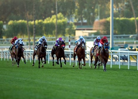 #1 MAGLEV (IRE) (Umberto Rispoli)<br><br />
$75,000 Baffle Stakes<br><br />
Owner: Red Baron's Barn, LLC or Rancho Temescal, LLC<br><br />
Trainer: Mark Glatt<br><br />
Sunday, Januey 30, 2022<br><br />
Santa Anita Park<br><br />
Arcadia CA.<br><br />
© BENOIT PHOTO #1 MAGLEV (IRE) (Umberto Rispoli)<br><br />
$75,000 Baffle Stakes<br><br />
Owner: Red Baron's Barn, LLC or Rancho Temescal, LLC<br><br />
Trainer: Mark Glatt<br><br />
Sunday, Januey 30, 2022<br><br />
Santa Anita Park<br><br />
Arcadia CA.<br><br />
© BENOIT PHOTO